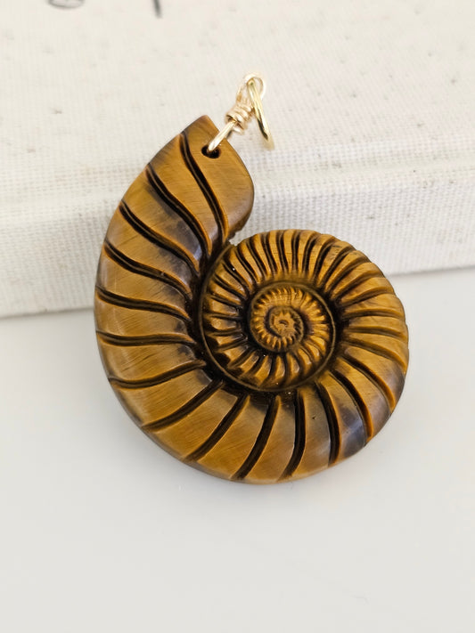 Hand Carved Nautilus